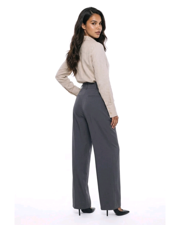 Sartoria pantalone sive boje, wide-leg model visokog struka sa zlatnim kopčama, prednji pogled – DM kolekcija